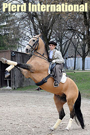 Pferd International 2010. (@Foto: Imgrid Grossmann)